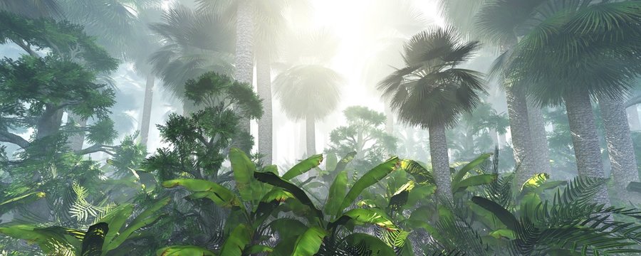 Fototapeta dżungla kokosowa rano we mgle, las we mgle. Renderowania 3d.