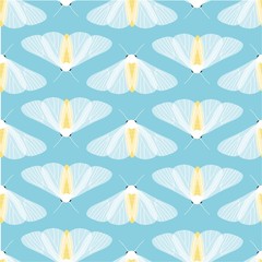 Fototapeta na wymiar vector seamless pattern of white butterflies and moths on blue background,hand drawn picture