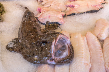 monkfish on ice at market stall, Bergen , Norway
