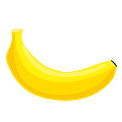 Fruit. Vector illustration of a cartoon yellow banana