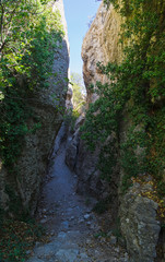 Obraz premium Crimea. View of a narrow gorge.