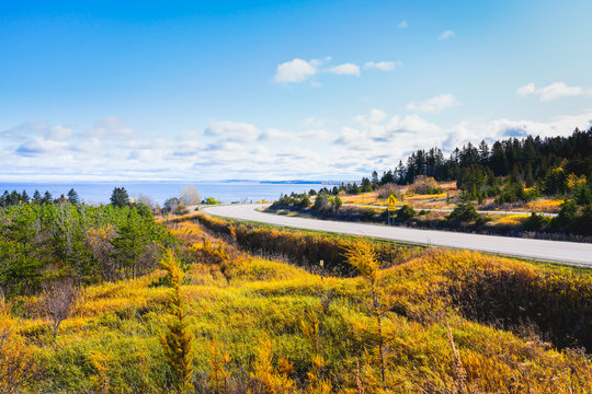 Rural Roadside Landscape View in Autumn