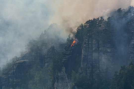 Waldbrand