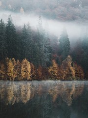 Epic Autumn landscape. Foggy forest reflected in water. Fall scenery.