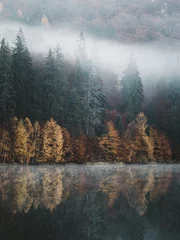 Fotobehang Donkergrijs Episch herfstlandschap. Mistig bos weerspiegeld in water. Herfst landschap.