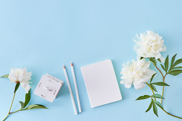 Flat lay blogger or freelancer workspace with a notebook and white peonies on a blue background