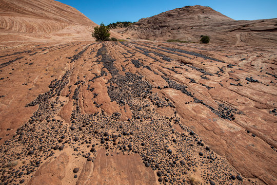 Hematite concretions and Moqui marbles, an unusual rock formation in Grand Staircase Escalente National Monument