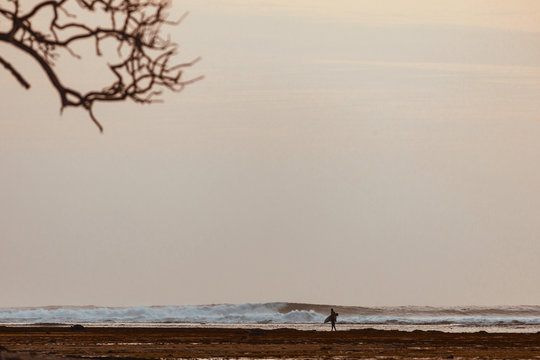 Surfer at the beach