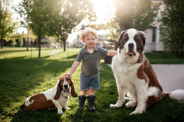 Toddler boy standing grass with 2 dogs in backyard in pretty light