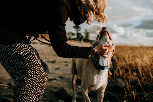 close up of woman petting her dog