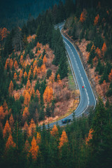 Two runners together on the road in autumn nature.