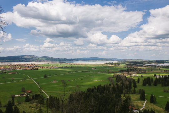 Field landscape