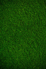 GREEN GRASS MAT BACKGROUND TEXTURE FRESH GREEN - 308538839