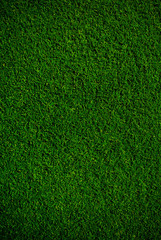 GREEN GRASS MAT BACKGROUND TEXTURE FRESH GREEN