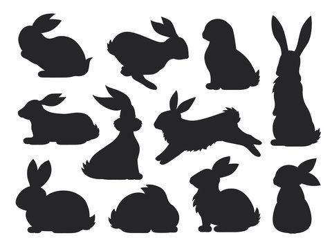 Bunny pet silhouette in different poses. Hare and rabbit collection. Vector set of cute rabbits in cartoon style.