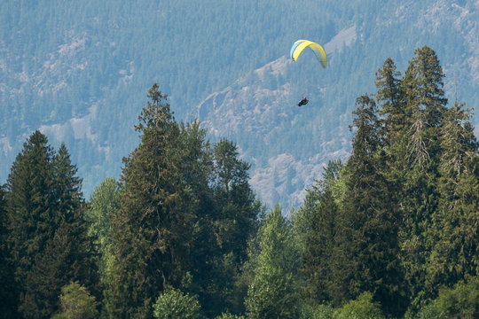 Paragliders fly above tree covered mountains on a sunny day.