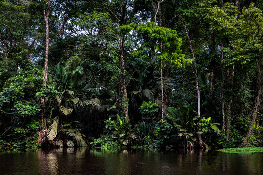 Tortuguero National Park, Limon Province
