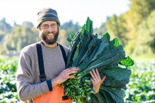 Proud farmer with a huge bunch of organic kale fall day harvest