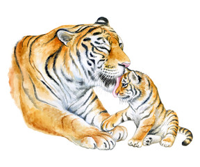 Obraz premium Tigers. Mom with a child isolated on a white background. A tigress mum washes a baby. Watercolor. Illustration. template. Close-up. Clipart. Mothers Day. Greeting card design.