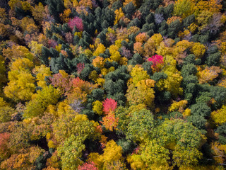 Fall foliage seen from the air near Quechee, Vermont.