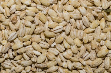 Background with spelled grains in the foreground