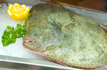 Flat fish - to be coocked