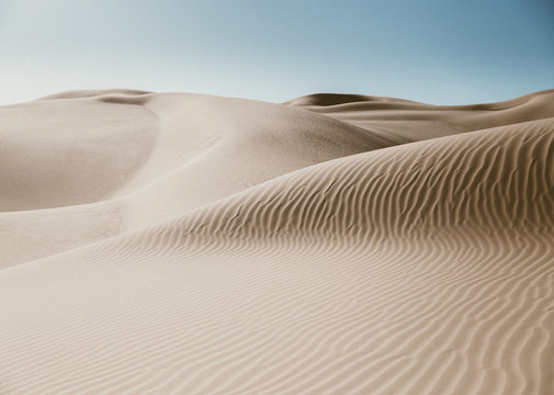 Sand dunes with animal tracks in the desert near Yuma, AZ