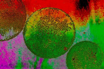 Macro shot of oil bubbles over colored background