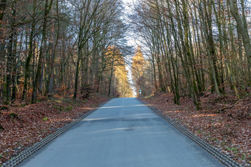 Spring road, countryside in Germany - Taunus