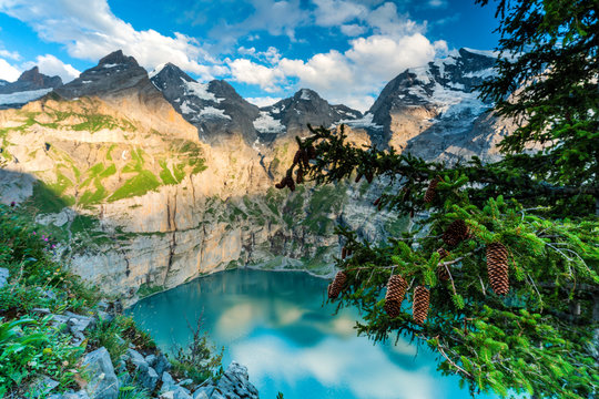 Trees and pine cones framing Oeschinensee lake at sunset, Bernese Oberland, Kandersteg, Canton of Bern