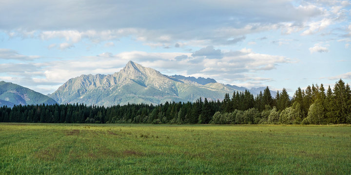 Green meadow with small forest and mount Krivan peak (Slovak symbol) in distance on summer afternoon