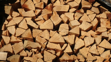 Pile of wood logs