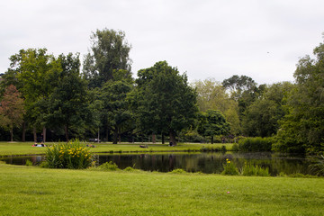 Fototapeta na wymiar View of people hanging out, trees, grass fields and lake at Vondelpark in Amsterdam. It is a public urban park of 47 hectares. It is a summer day.