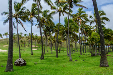 Chile - Rapa Nui or Easter Island - Anakena