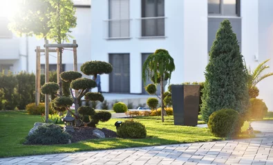 Foto op Plexiglas anti-reflex Mooi modern bloembed met naaldstruiken en een bonsaiboom op de achtergrond van de buitenkant van een huis in een Europese stad © pridannikov