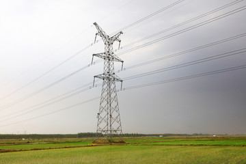 rice fields and electric towers in China