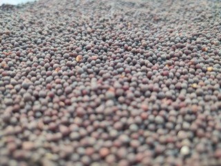 pebbles on the beach