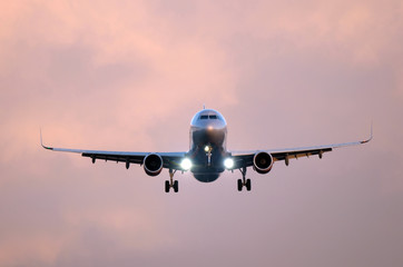 The plane arrives at the international airport