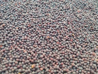 background of pebbles