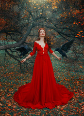 Obraz na płótnie Canvas attractive redhead witch queen red dress with deep neckline. Two wise ravens on arms. Magic sun rays shine energy radiance and sparkles of blessing poured on woman from sky. calmfortune telling