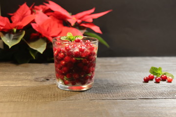 Christmas and New Year cocktail ice drink with cranberries and mint on black background with poinsettia flower and copy space