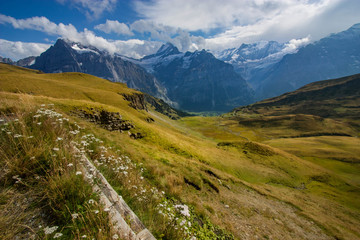 A view overlook the valley with wild flowers along the hiking trail in First, Grindelwald,...