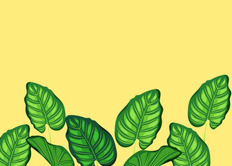 Flat lay leaves and branches of palm trees.