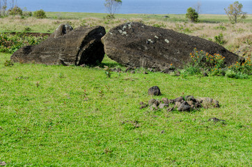 Chile - Rapa Nui or Easter Island - Rano Raraku