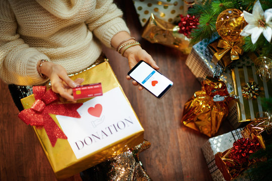 stylish housewife making donation via smartphone application