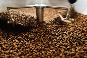 beans in a moving coffee cooling mixer