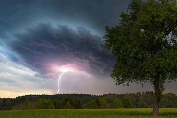 Fototapeta na wymiar Baum in Landschaft mit Gewitter und Blitz
