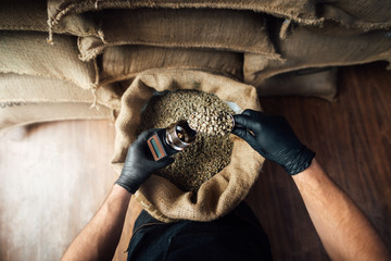 pouring coffee beans into a device for measuring humidity with a metal scoop on the background of a...