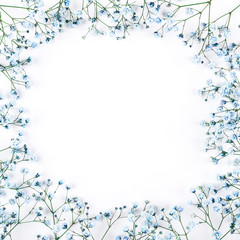 Beautiful flower frame of blue gypsophila flowers. Flat lay, top view. Floral pattern.