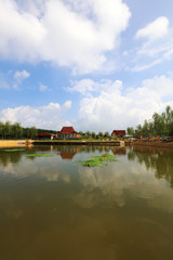 Obraz premium Summer view of the pond in the park